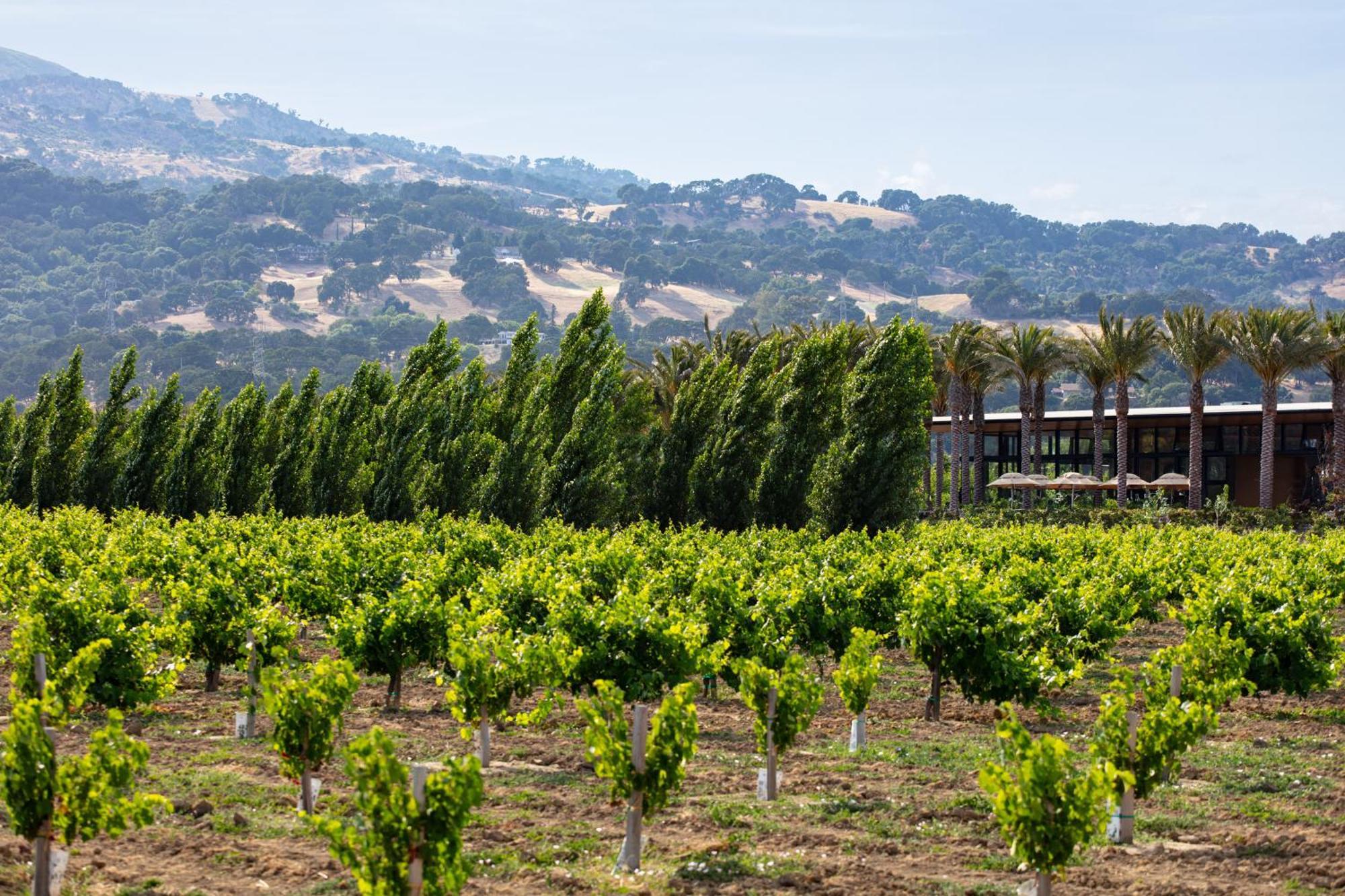 Homewood Suites By Hilton Fairfield-Napa Valley Area Cordelia Esterno foto